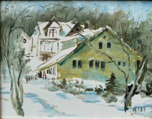 Winter Snow in New Jersey / 新泽西州的冬雪