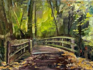 Bridge in Long Island Park / 长岛公园的桥