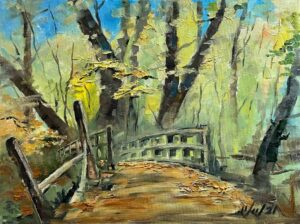 Autumn in Long Island Park / 长岛公园的秋天