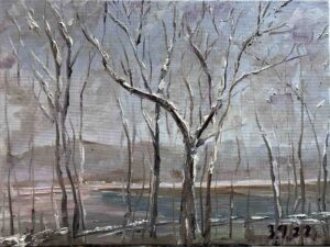 Scene after Snowing / 雪后的风景