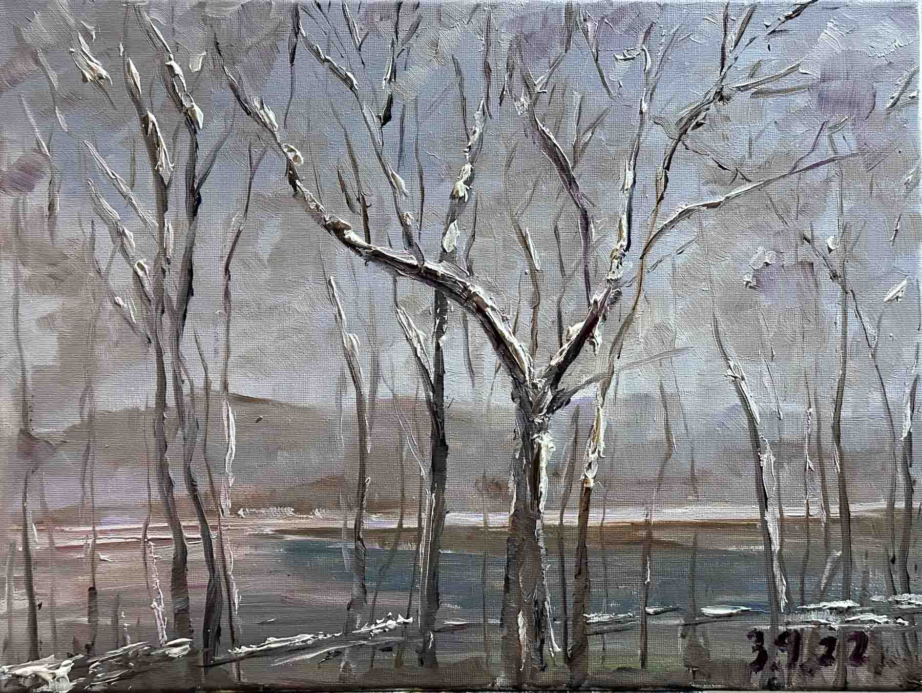 Scene after Snowing / 雪后的风景