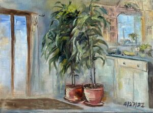 Evergreen in the Room / 房间里的万年青