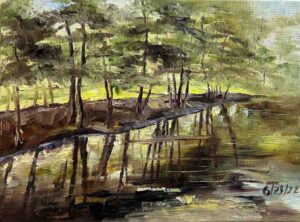 Trees and Reflections / 树和倒影