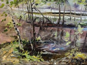 Tree-surrouded Lake Surface / 树木环绕的湖面