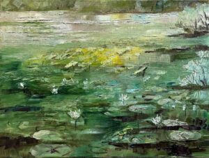 Lily Pond / 荷花池