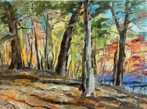 Autumn Woods / 秋林