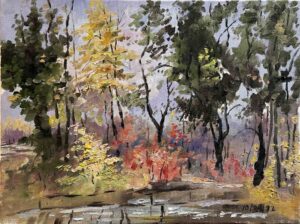 Colorful Autumn / 色彩斑斓的秋天