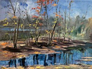 Autumn on the Little Island / 小岛上的秋天