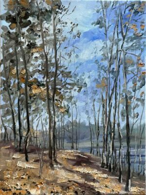 Late Autumn Trees / 深秋的树林