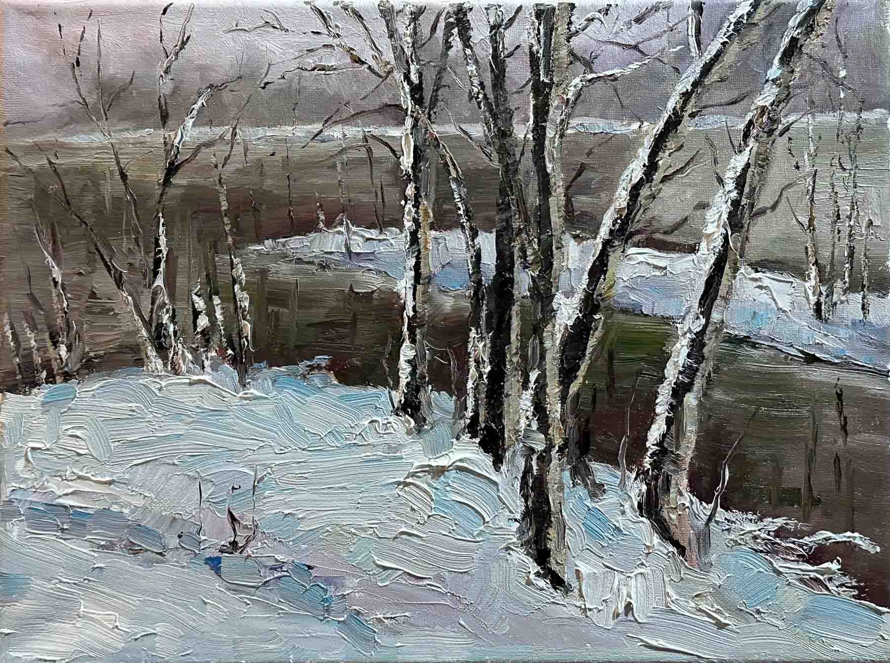 Snowing Lakeside / 湖畔雪景