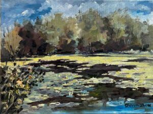 Lake in the Park / 公园湖面