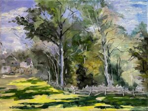 Lawn and Tree Shadows / 草坪和树影