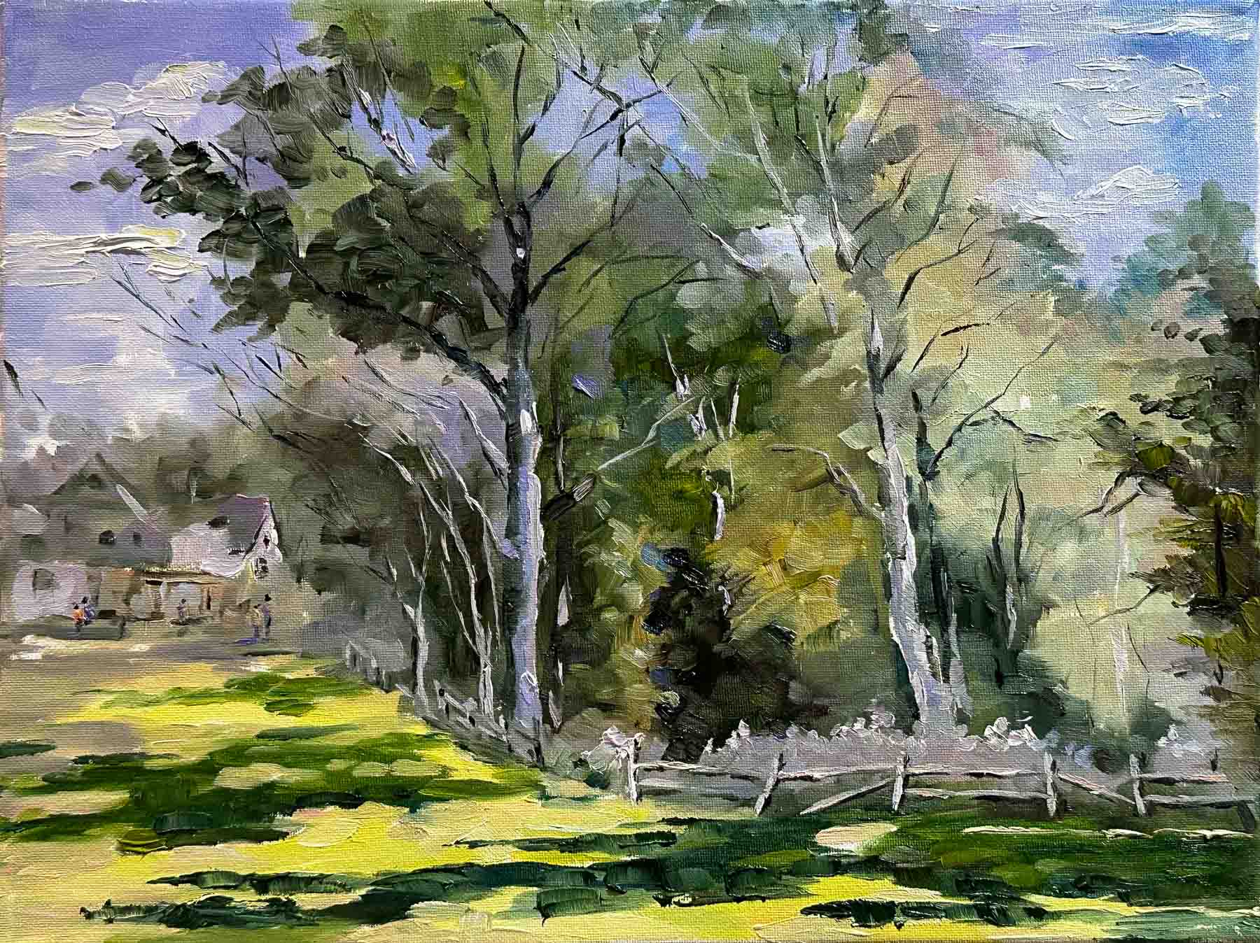 Lawn and Tree Shadows / 草坪和树影