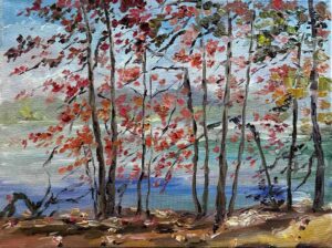 Red Leaf Trees / 红叶树