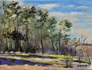 Woods in Boston / 波士顿的树林