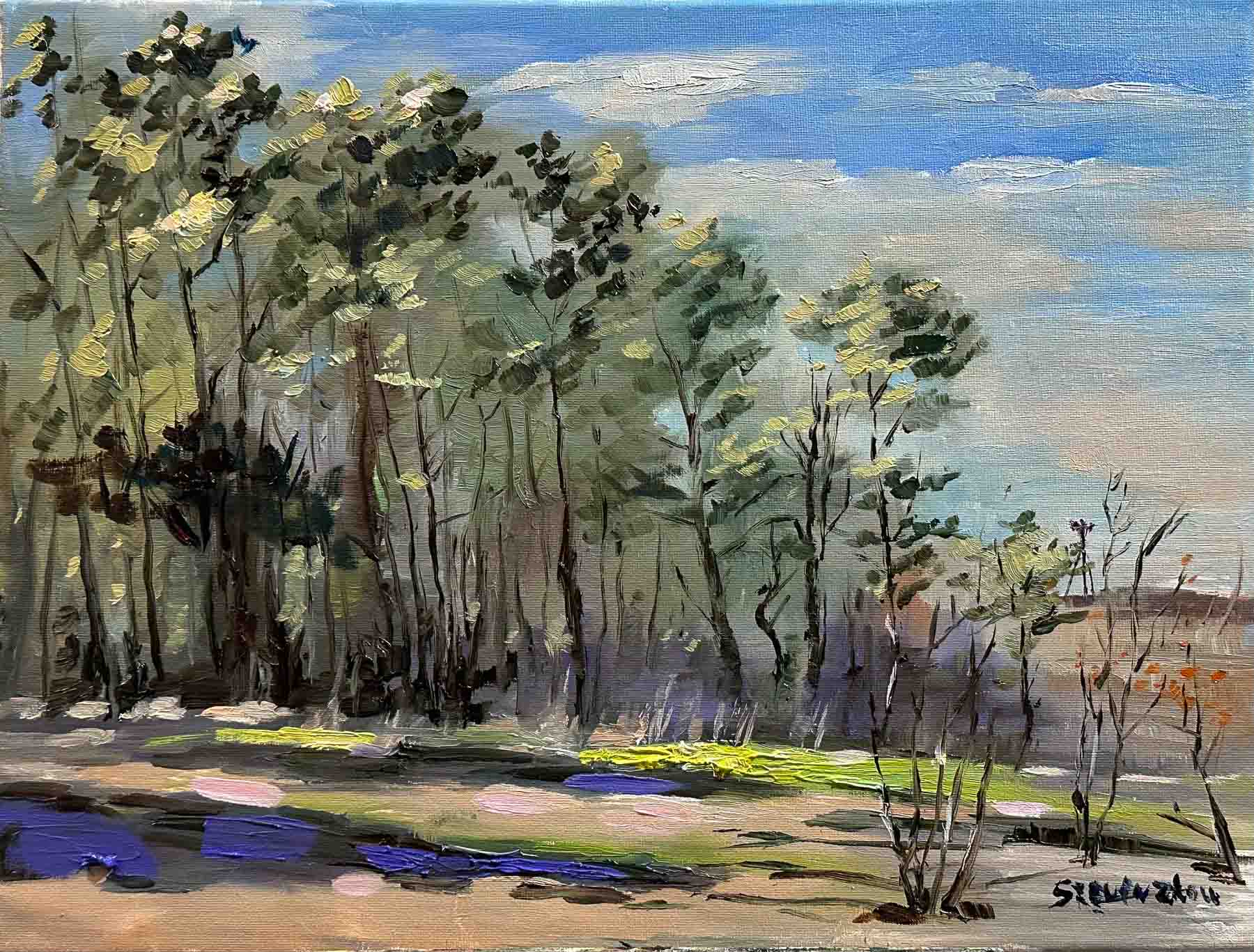 Woods in Boston / 波士顿的树林