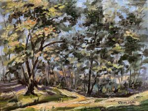 Autumn in the Park / 公园秋色