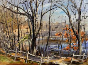 Late Autumn behind the Fence / 篱笆后的晚秋